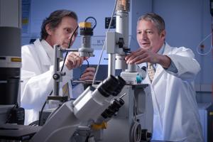 Two medical professionals in a lab