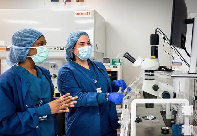 clinicians work in fertility lab