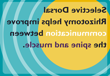 Selective dorsal rhizotomay helps improve communication between the spine and muscle.