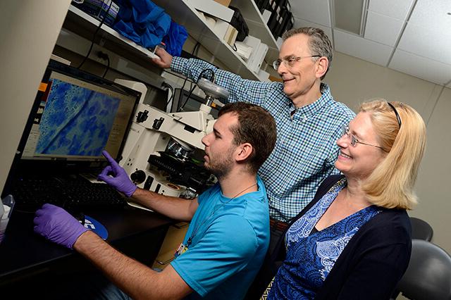 ICE researchers collaborating in the lab