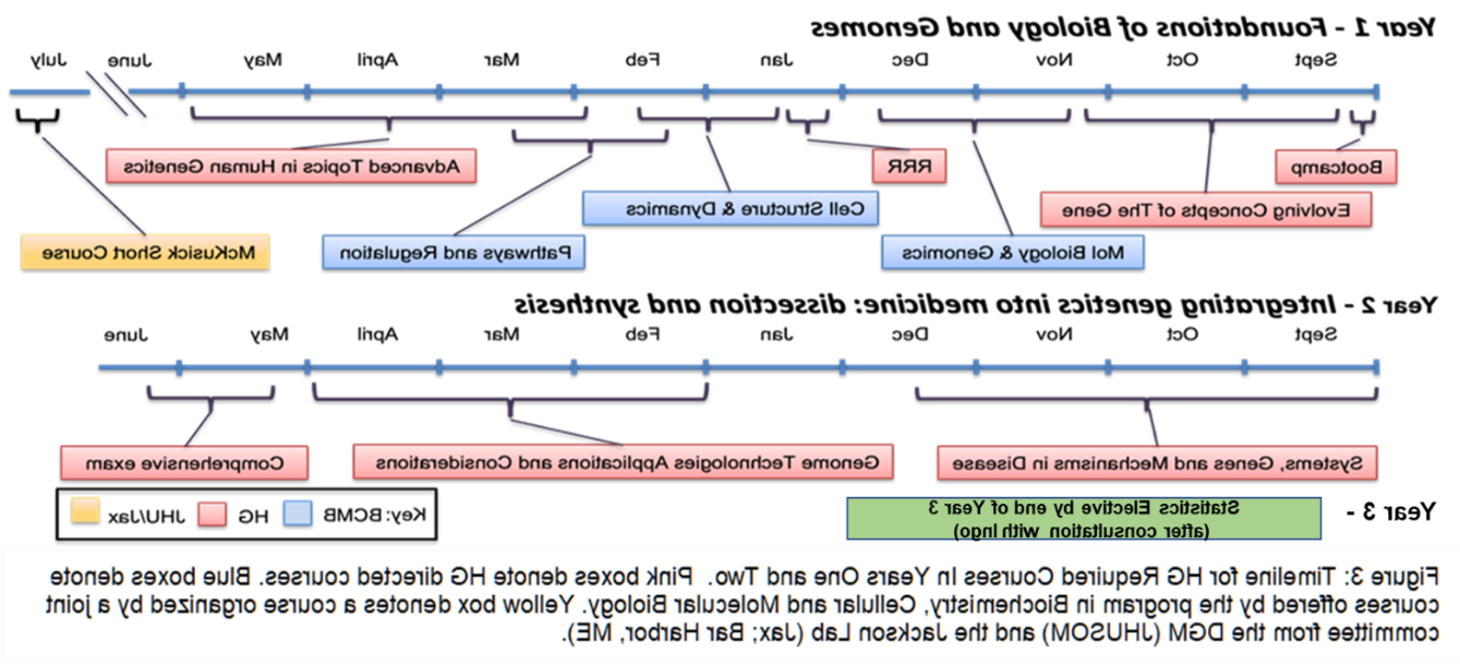 图3:第一年和第二年HG必修课程时间表. 粉色方框表示HG指导的课程. 蓝框表示该项目提供的生物化学、细胞和分子生物学课程. Yellow box denotes a course organized by a joint committee from the DGM (JHUSOM) and the Jackson Lab (Jax; Bar Harbor, ME).