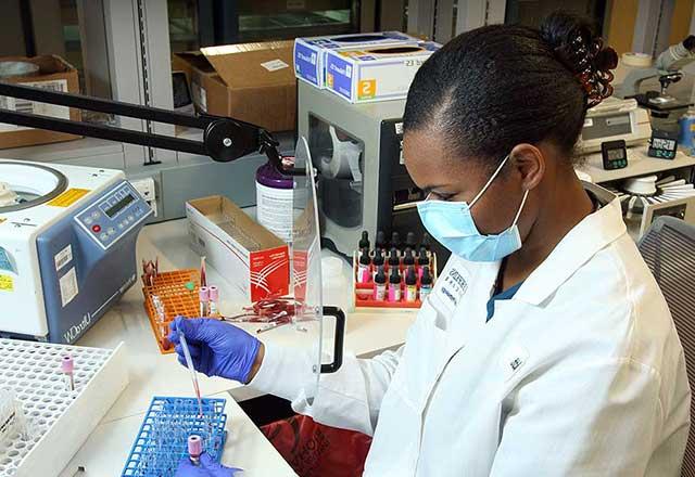 Provider testing a blood sample in a lab.