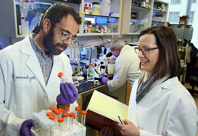 Two scientists looking at a set of test tubes.